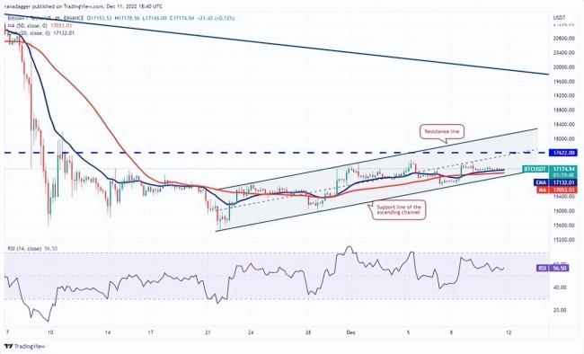 比特币无聊的价格走势让 XMR、TON、TWT 和 AXS 聚集力量