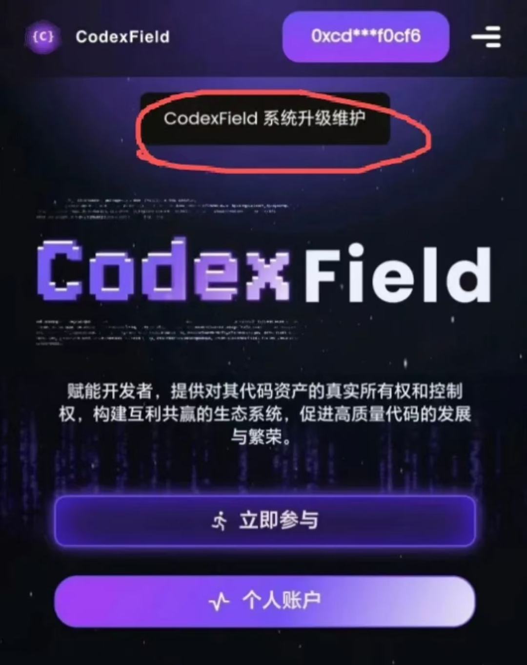 “Codexfield”技术升级暂停提现关闭闪兑，曾自称为币安的亲儿子也暴雷了！-一洼田