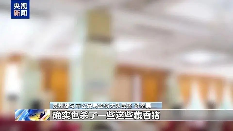 警惕！“云养猪”每月获返利稳赚不赔？小心掉入“云养经济”非法集资陷阱，警方揭秘→-一洼田