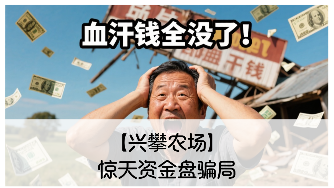 【兴攀农场】惊天资金盘骗局：震哥带你拆穿“数字助农”的画皮-一洼田