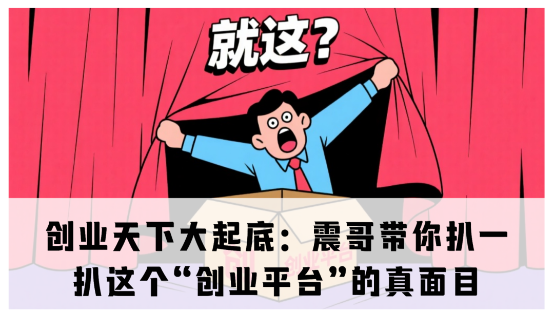 创业天下大起底：震哥带你扒一扒这个“创业平台”的真面目-一洼田