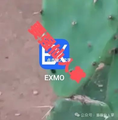 5月4日最新消息,exmo交易所安全吗?曝光一个今日上线的合约交易所骗局【EXMO交易所】-一洼田