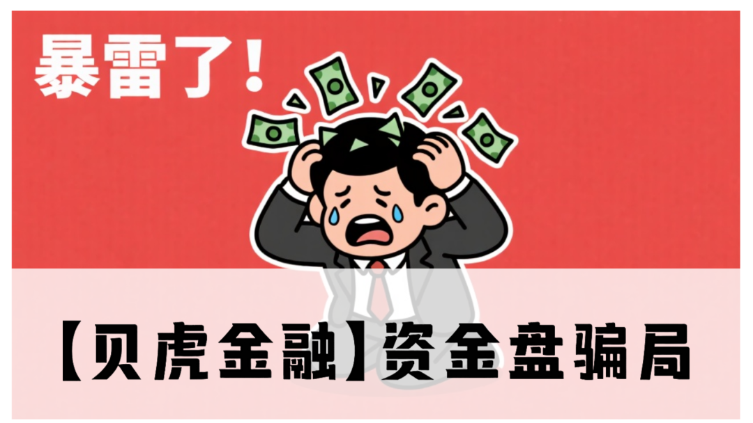 【贝虎金融】资金盘骗局：震哥揭秘高额分红陷阱，高度预警-一洼田