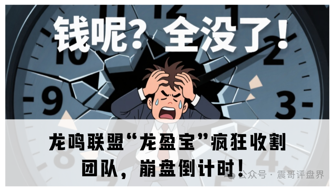 震哥独家揭秘：龙鸣联盟“龙盈宝”疯狂收割团队，崩盘倒计时！-一洼田