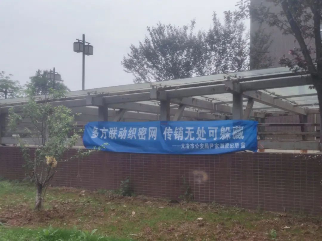 投资135800出局可赚1720万？卧底揭秘 “骑着电动车穿梭在湖北大冶的传销大军”-一洼田