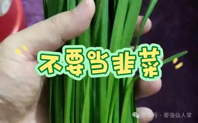 5月3日最新消息，曝光两个资金盘骗局【套牌香港维尔利】【天体交易所】-一洼田