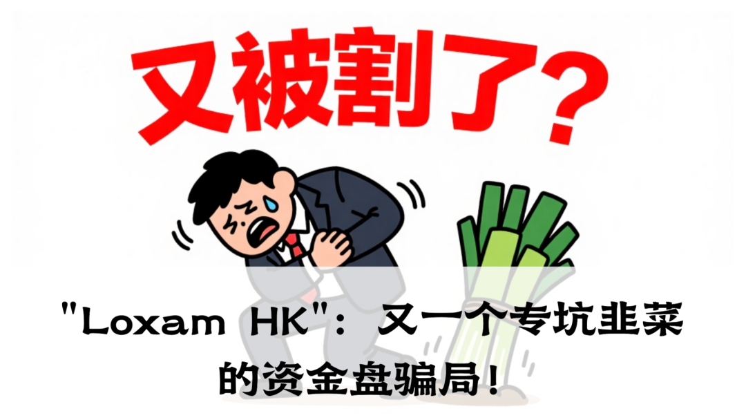 带你扒皮"Loxam HK"：又一个专坑韭菜的资金盘骗局！-一洼田