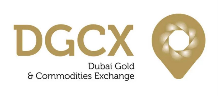 DGCX鑫慷嘉即将崩盘:170 亿资金链背后的 "暴富" 陷阱-一洼田