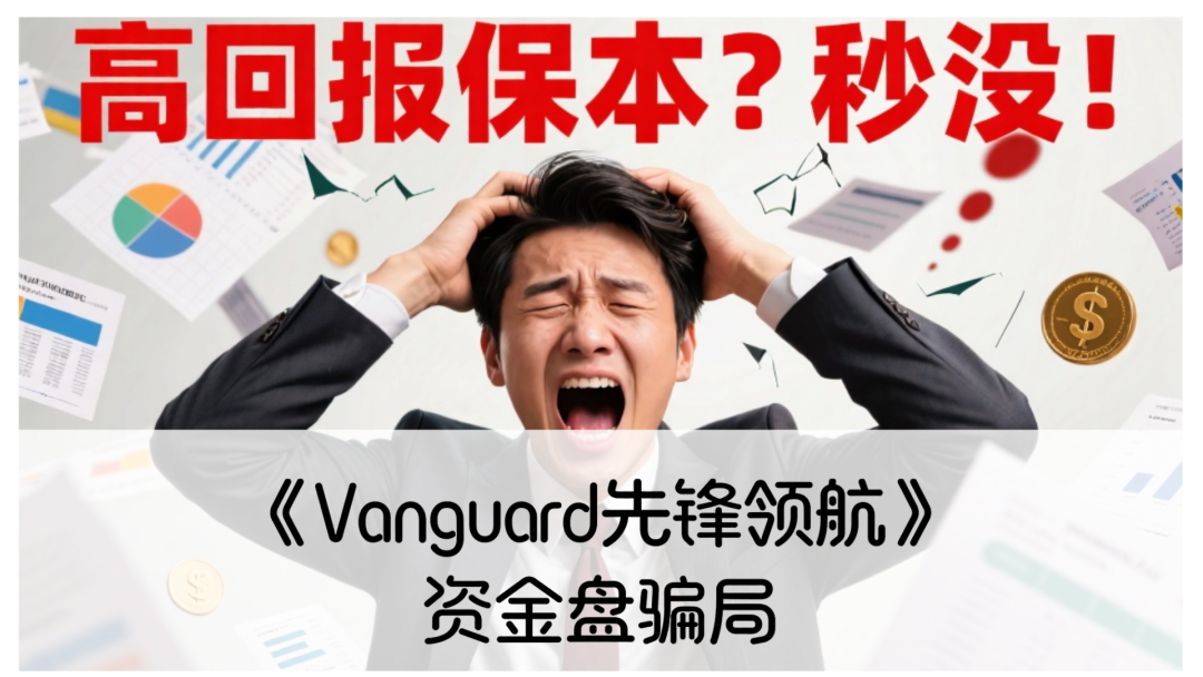 《Vanguard先锋领航》资金盘骗局！圈钱过亿，大量单割，即将崩盘-一洼田