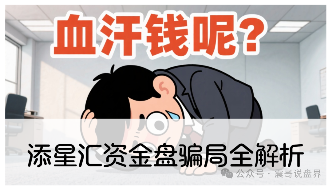 震哥深度起底：添星汇资金盘骗局全解析，高收益幌子下的收割陷阱-一洼田
