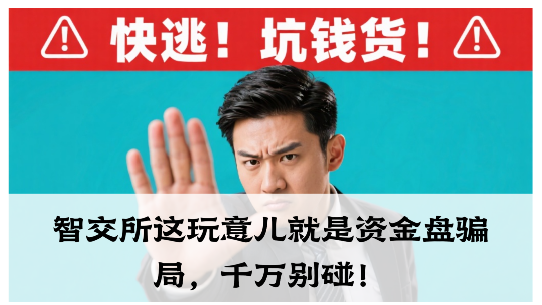 震哥爆料：智交所这玩意儿就是资金盘骗局，千万别碰！-一洼田
