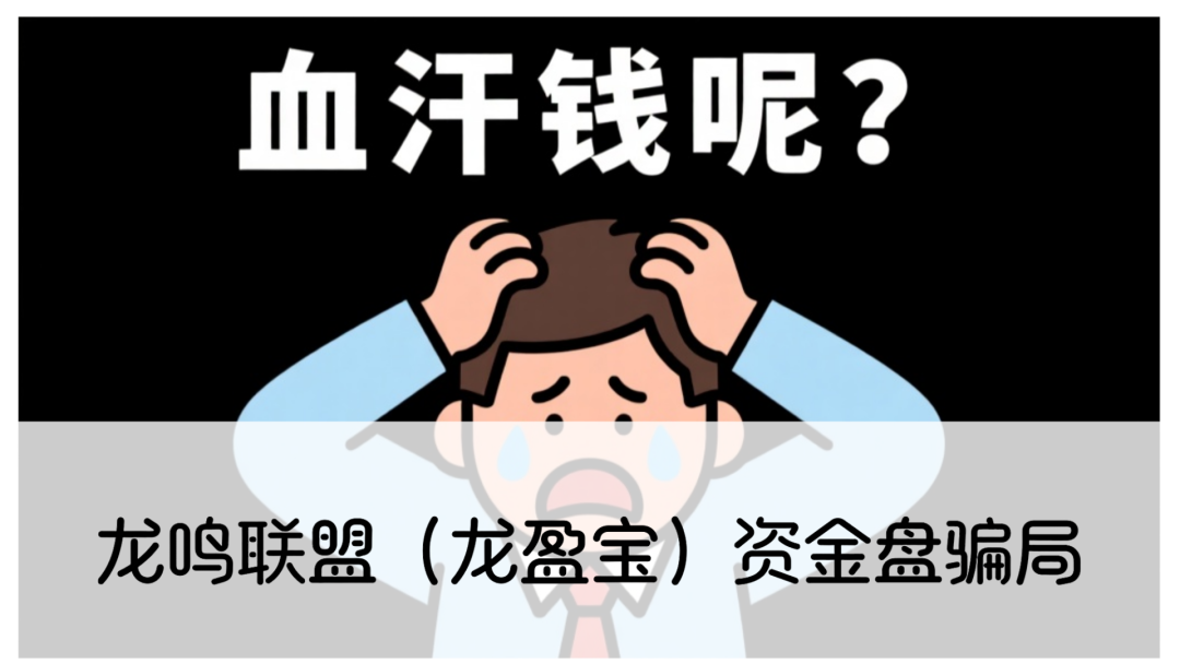 龙鸣联盟(龙盈宝)资金盘骗局,圈钱过亿,高度预警,别被收割-一洼田