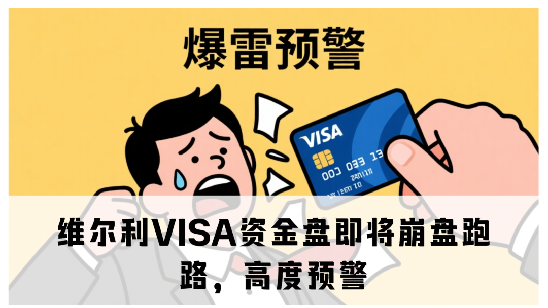 维尔利VISA资金盘即将崩盘跑路,高度预警-一洼田