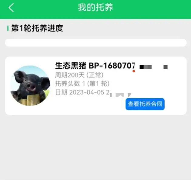 “庞博集团”传销案始末:披着农业外衣的资金陷阱-一洼田