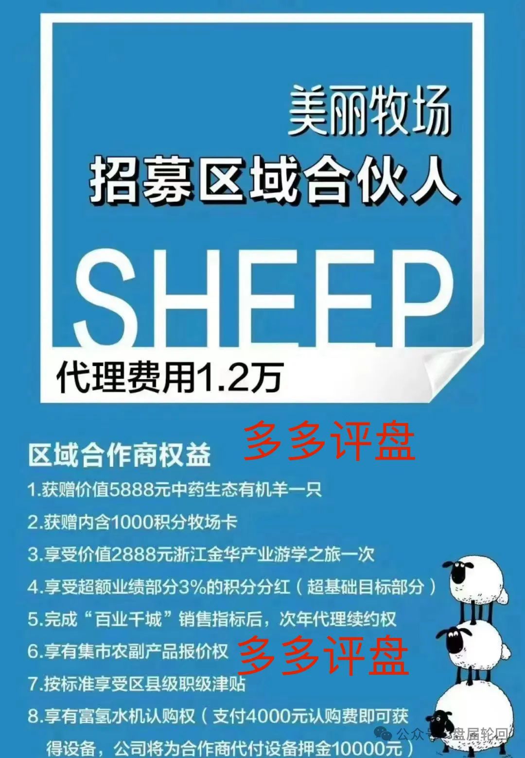 “美丽牧场”不美丽：“羊霸天”的羊毛，还没出栏就被薅秃了-一洼田