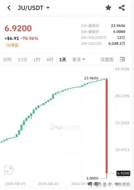 聚币交易所大崩盘，涉案几十亿，高层被抓！-一洼田