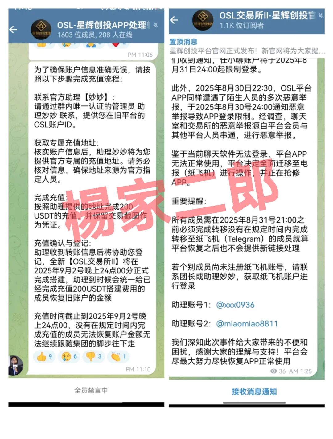 “星辉创投”跟单短命盘已崩盘跑路,切莫交“智商税”再次受骗!-一洼田
