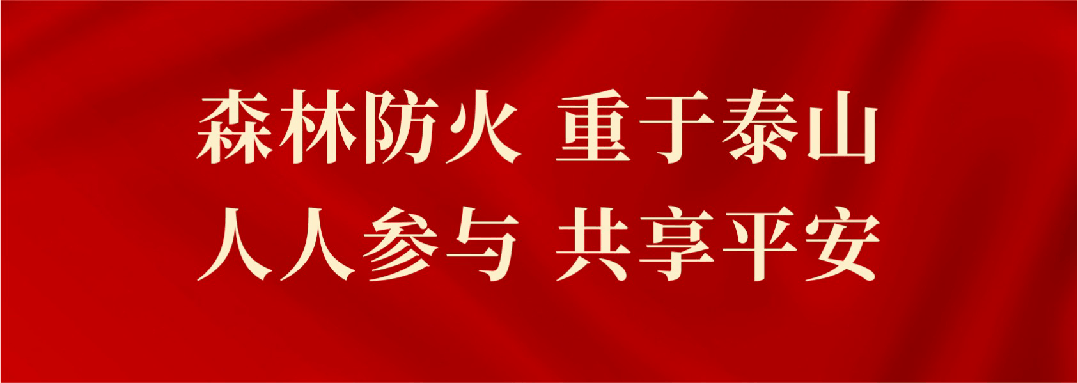 永丰“庞氏骗局”风险提示:睿盛环球资金盘骗局曝光!-一洼田