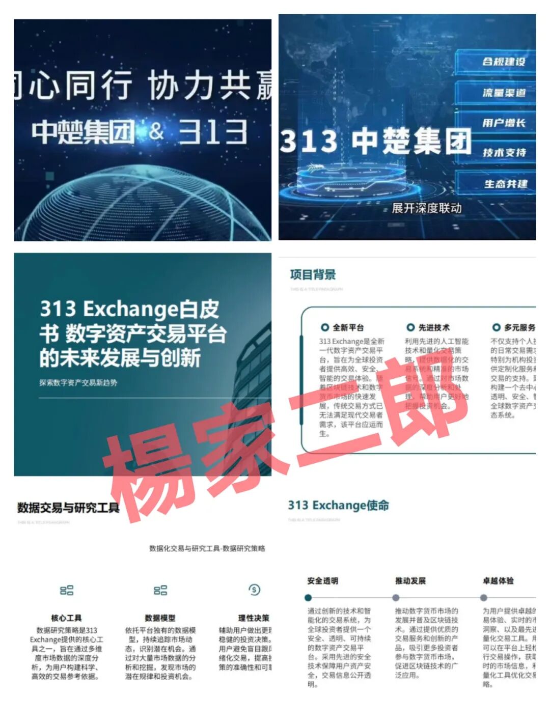 “中楚集团313交易所”跟单类资金盘骗局，已拔网线彻底凉凉-一洼田