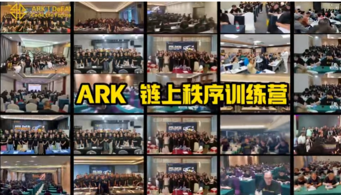 ARK方舟即将暴雷！造假的链上合约资金盘，项目方即将收割跑路！-一洼田