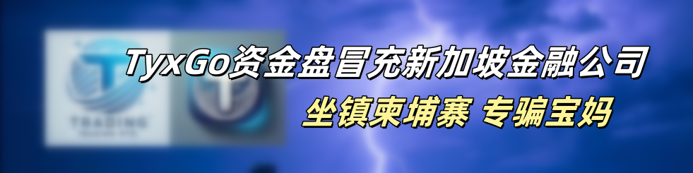 影子曝光｜“TyxGo”崩盘后续，细节曝光……-一洼田