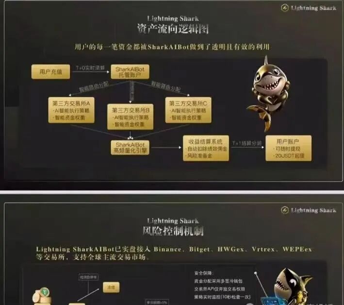 11月份最新的诈骗资金盘,有没有你参与的,闪电鲨骗局即将崩盘!!-一洼田