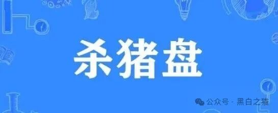 电诈团伙伪冒“TCV资本”,又是一个恋爱杀猪盘骗局,高度警惕-一洼田