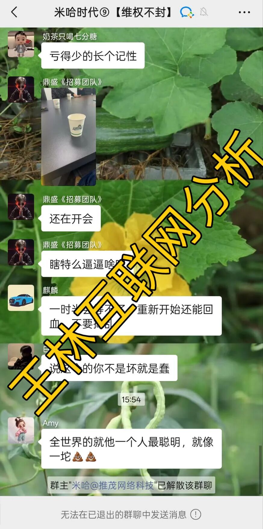 10月25日骗局：米哈时代、PQEX交易所（金睿控股），VT交易所（德信资本），TM交易所（安裕财富）随时可能卷钱跑路！-一洼田