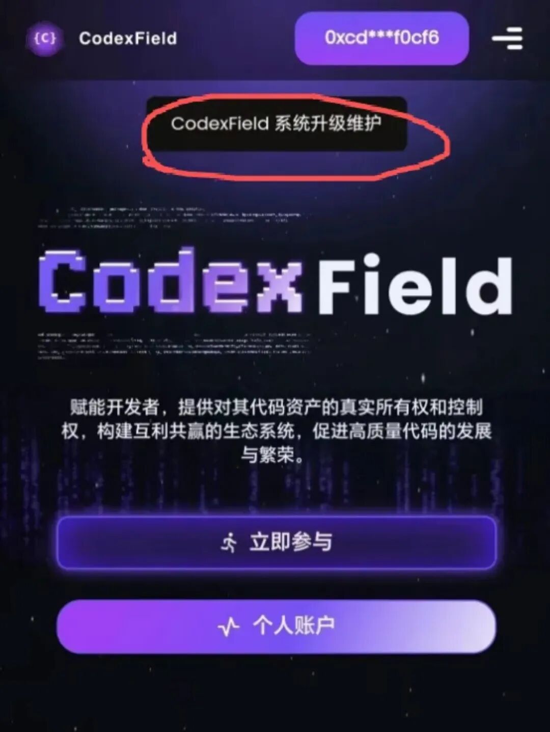 Codexfield崩盘了，暂停提现，关闭闪兑，各大群开启禁言-一洼田