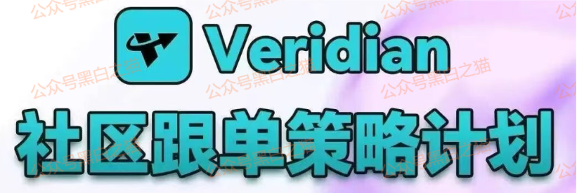 影子曝光|“Veridian 维盛社区”野鸡交易所起盘2个月,单割小团长,痕迹狡兔三窟,国内踪迹一点就破……-一洼田