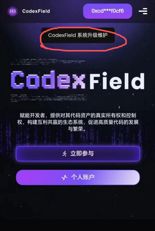codexfield项目崩盘！升级维护，暂停提现，关闭闪兑，各大微信群开启禁言！Codexfield崩了！-一洼田