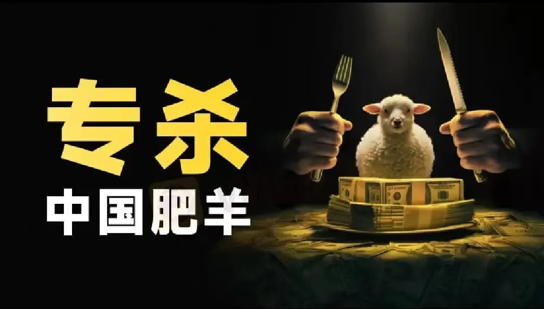 CodexField距离崩盘还有多久？操盘团队曾经是东南亚洗钱诈骗团队，这些内幕你一定要了解，不要等到被收割后悔莫及！-一洼田