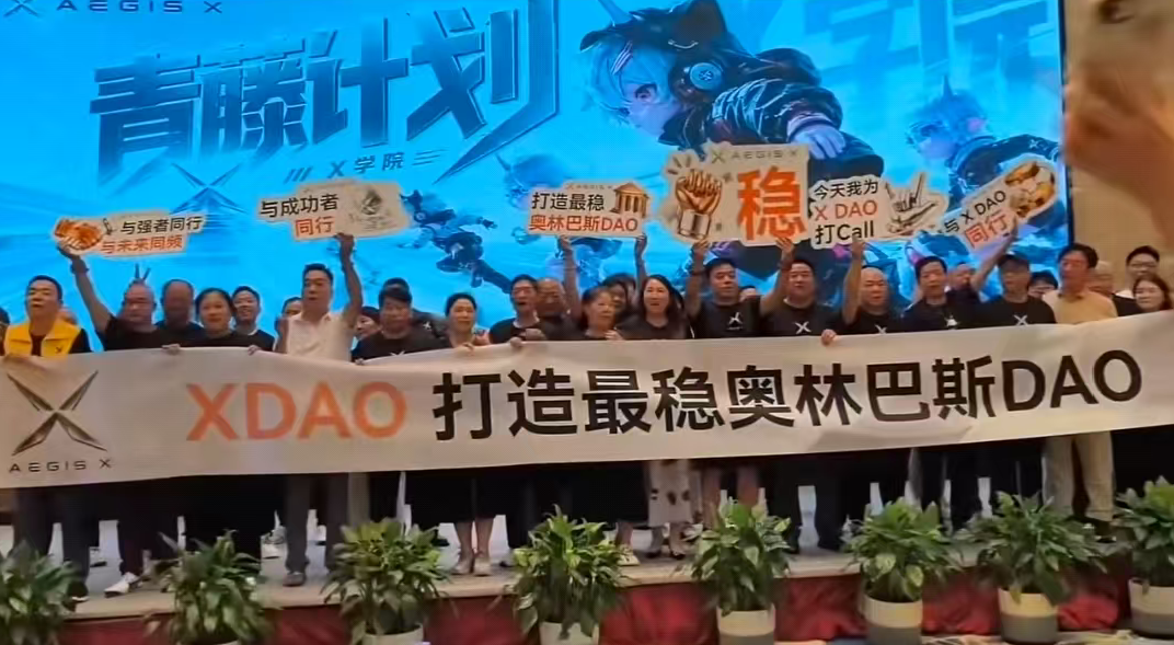XDAO吹出1200万泡沫,工资都发不起就跑路,韭菜还在等回本?-一洼田