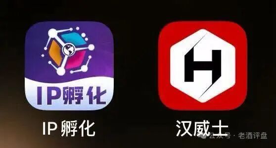 HAVAS“IP孵化骗局”,超高息资金盘,高度预警,看见远离!-一洼田