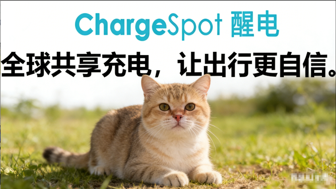 警惕假冒“醒电科技”：揭秘以共享充电品牌为名的资金盘骗局-一洼田