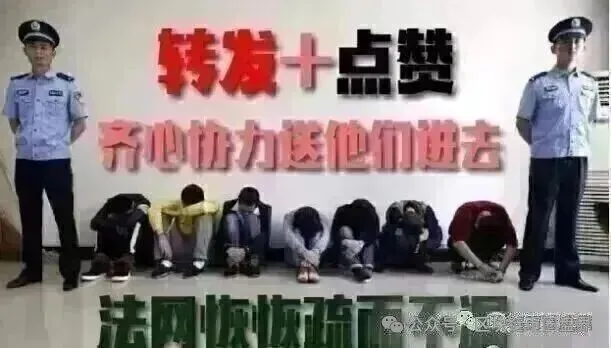聚斯特JUST崩了，韭菜根都被割没了-一洼田