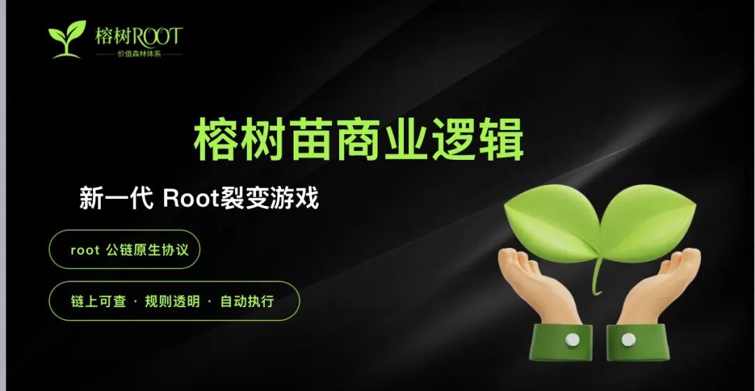 警惕“榕树ROOT”：打着Web3旗号的典型资金盘骗局！！-一洼田