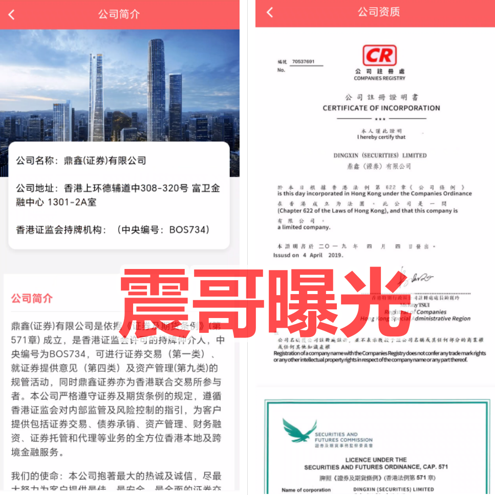 鼎鸿鑫源是境外杀猪盘骗局，高度预警，小心崩盘跑路-一洼田