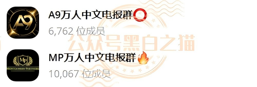 “MP蒙哥马利”人马转移“A9”项目，换成链上赌盘，投资人逃不过被割结局……-一洼田