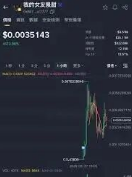 孙宇晨喊单就是暴涨信号?谁在给大佬抬轿子接盘-一洼田