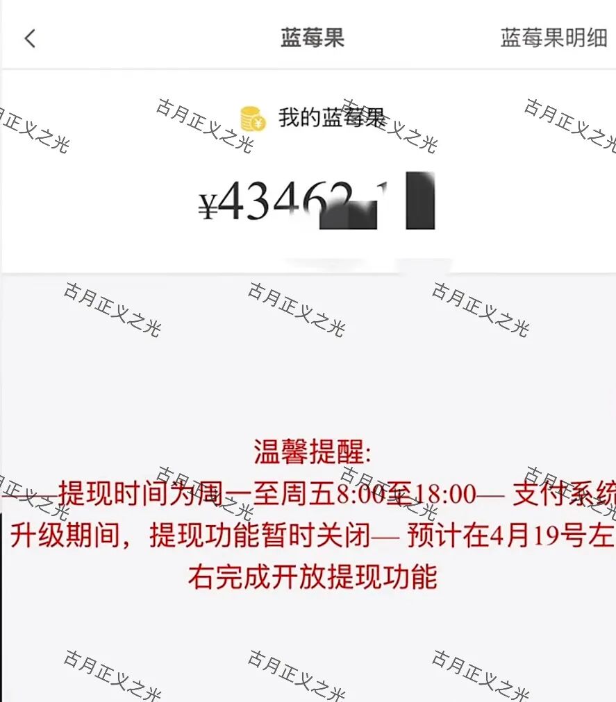 蓝莓甄选抢单寄售类资金盘骗局，“艾兴合”同模式，已经不能提现，崩盘软跑路了…-一洼田