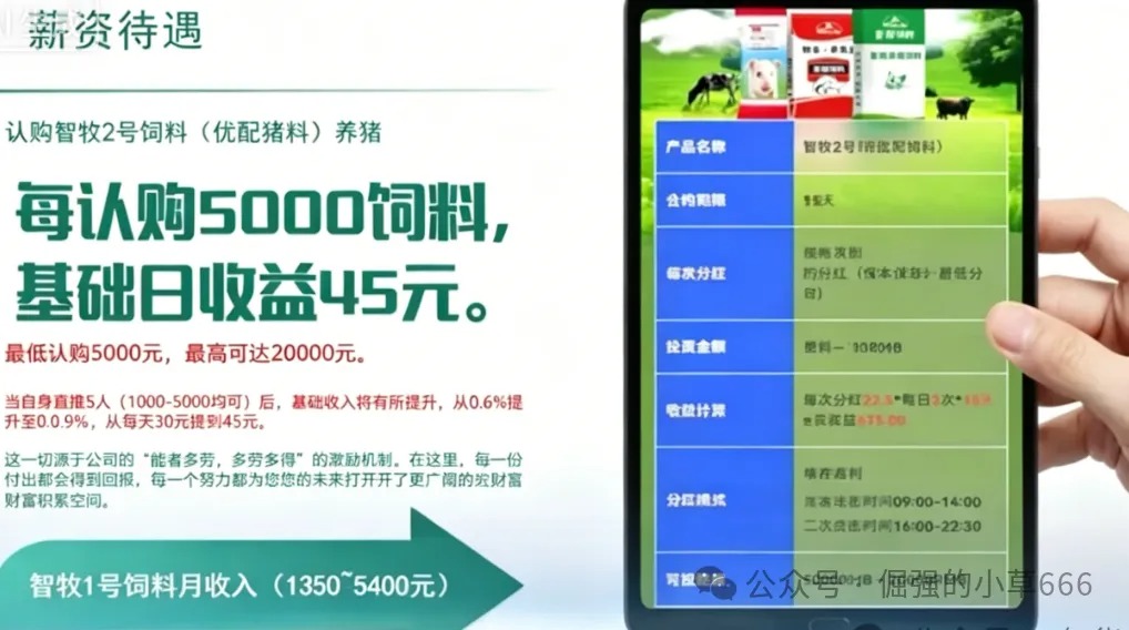 %title插图%num %title插图%num