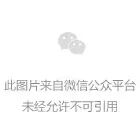 阿波罗量化资金盘实为境外诈骗盘:操盘手刘德伟单割跑路,威胁受害者,警惕新型‘带单+地推’收割套路-一洼田