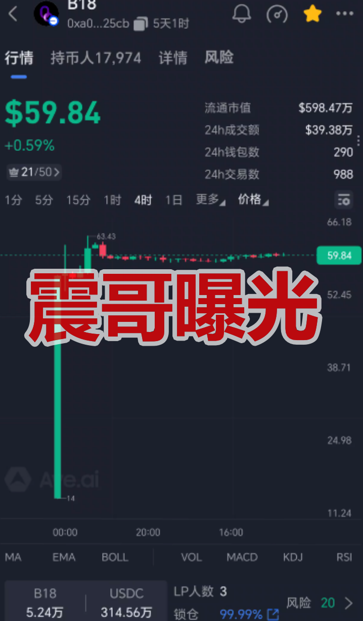 B18链上银行是传销币资金盘骗局，高风险期，一定要远离-一洼田