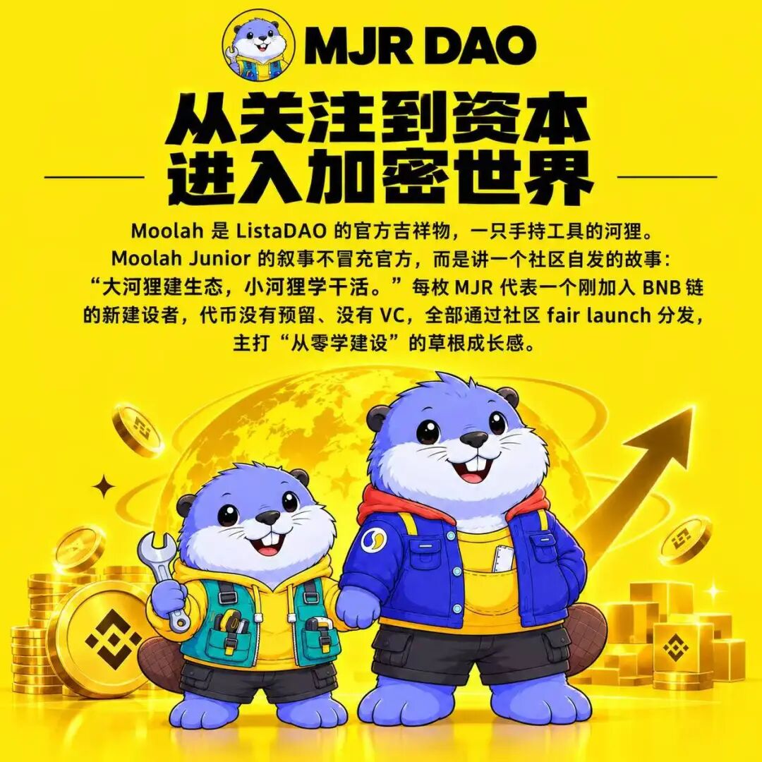 MJR穆拉小跟班被查：包装IP叙事的链上骗局爆雷-一洼田